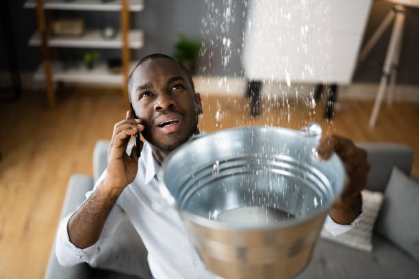 Best Ceiling water damage repair  in Dunlap, OH