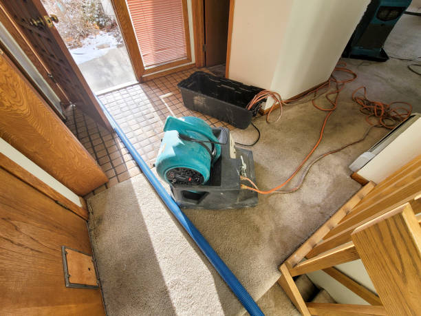  Dunlap, OH Water damage restoration Pros