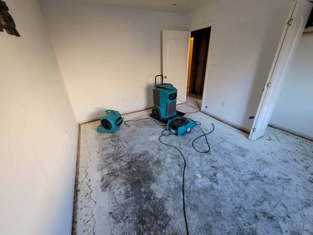 Best Local water damage restoration  in Dunlap, OH