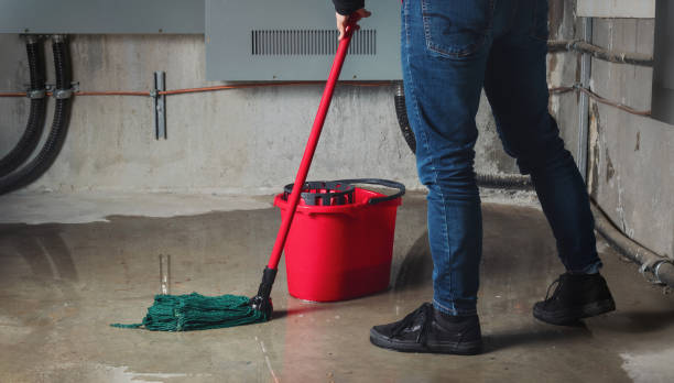 Best Mold removal after water damage  in Dunlap, OH