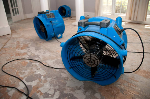 Best Residential water damage restoration  in Dunlap, OH