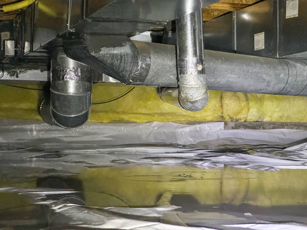 Best Water damage cleanup near me  in Dunlap, OH